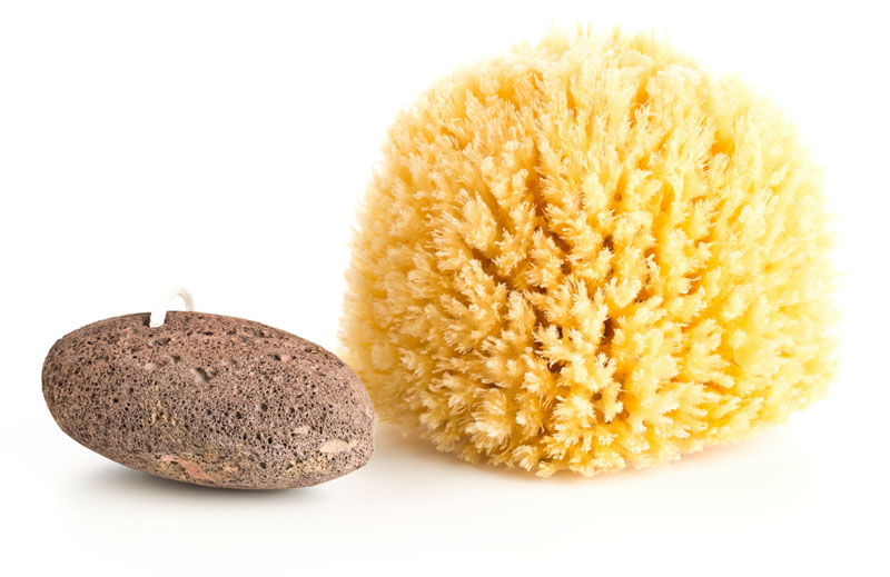 Wholesale Sponges, Sea Sponges Suppliers, Natural Sponges Suppliers, Coral Reefs Suppliers, Deco Grass Suppliers, Silky Grass Suppliers, Silk Sponges Suppliers, Wool Sponges Suppliers, Yellow Sponges Suppliers, Olive Oil Soap Suppliers, Sponge Soaps Suppliers, Sea Sponge Soaps Suppliers, Honeycomb Sponges Suppliers, Grass Sponges Suppliers, Hardhead Sponges Suppliers, Sea Sponges Wholesale, Natural Sponges Wholesale, Coral Reefs Wholesale, Deco Grass Wholesale
